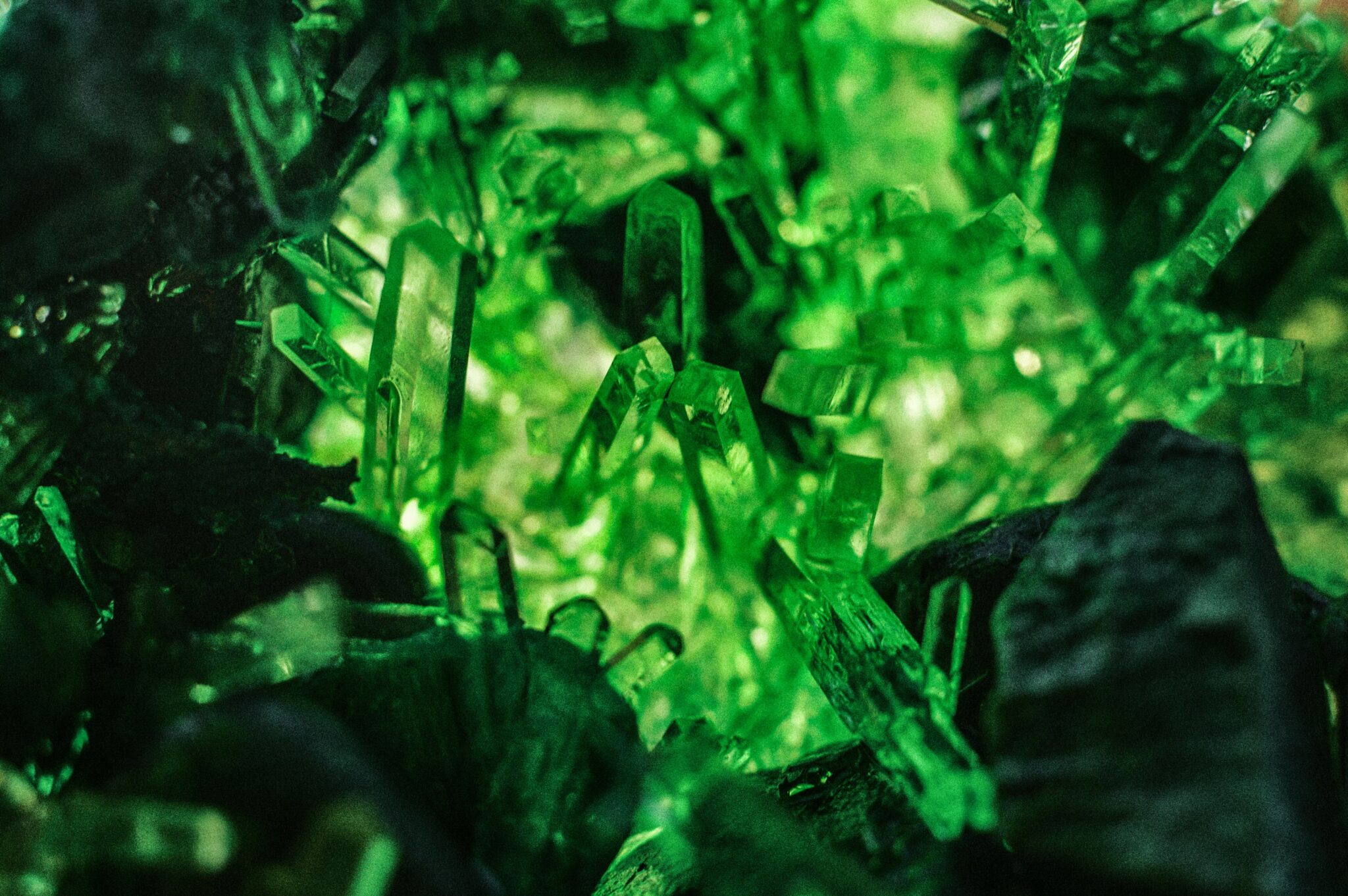 julia-kadel-ASgjGlruKCo-unsplash
